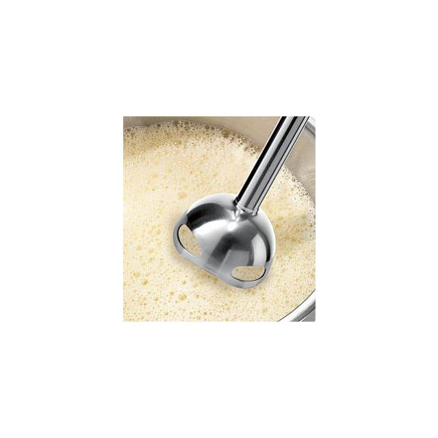 MS6CA4150G, Hand blender