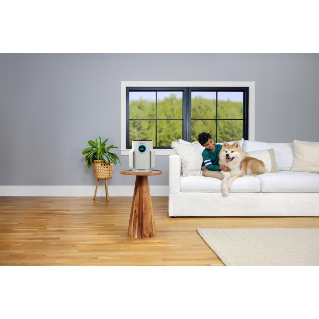 Shark HP072UK Compact Pro Air Purifier - Dove Colour