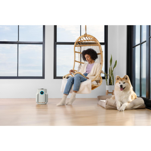 Shark HP072UK Compact Pro Air Purifier - Dove Colour
