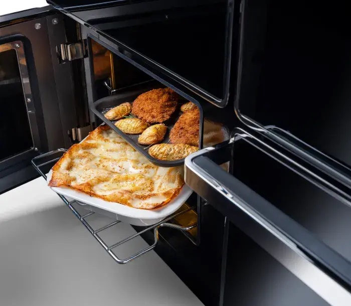 Conventional oven door is open revealing chicken pieces and a lasagne.