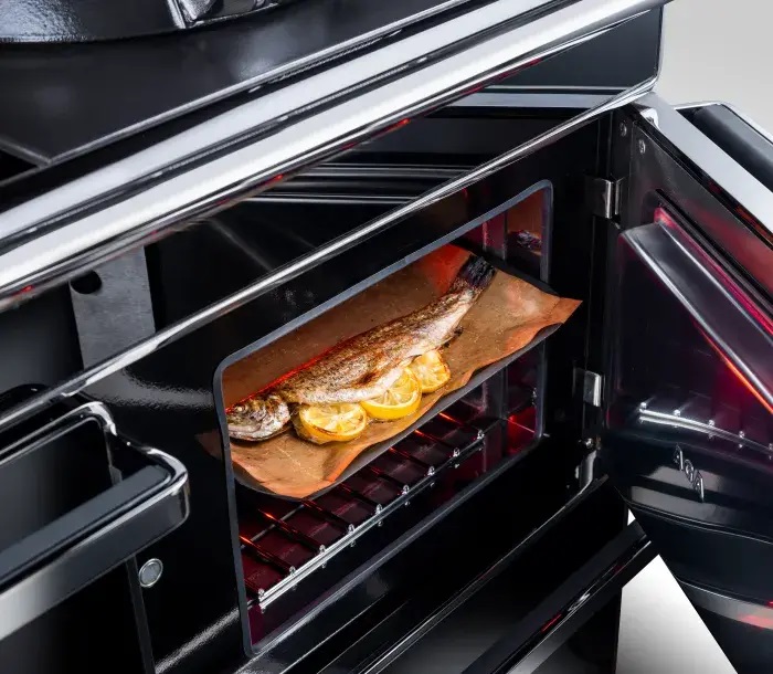 An oven door is open revealing a grilled trout and orange slices inside.